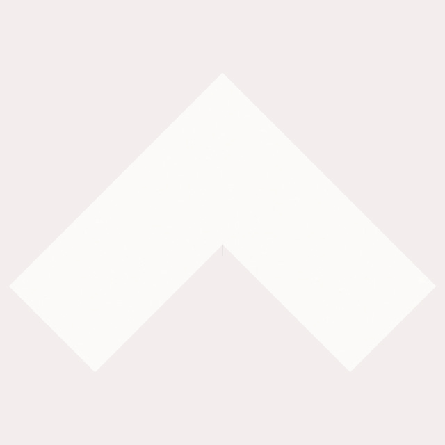 Basic passe-partout White